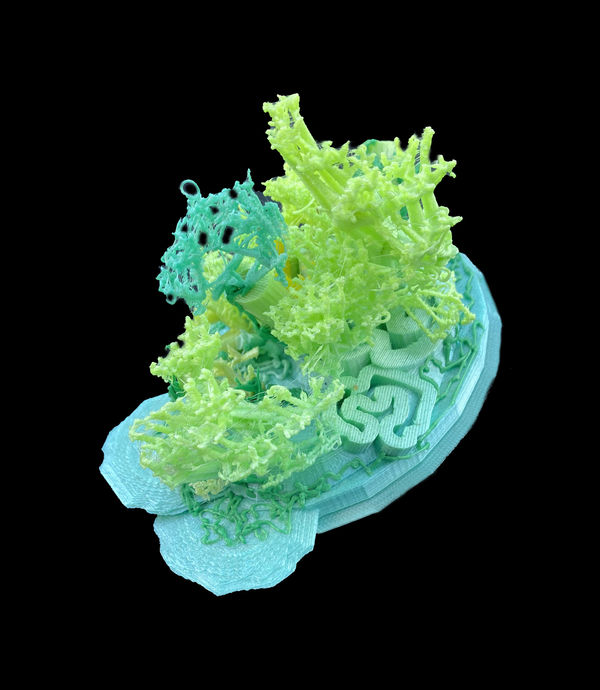 SNEŽANA SARASWATI PETROVIĆ Coral Hymn: MINT, 2023