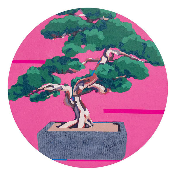 YUMIKO GLOVER Prostrata Juniper, 2024