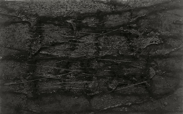 Joy Ray, Artifact (senescence) - 2018