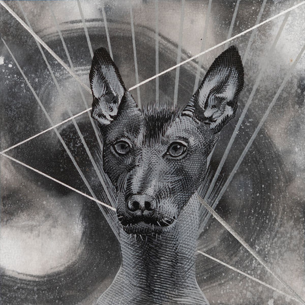 Abel Alejandre, Xolo No.5, 2025