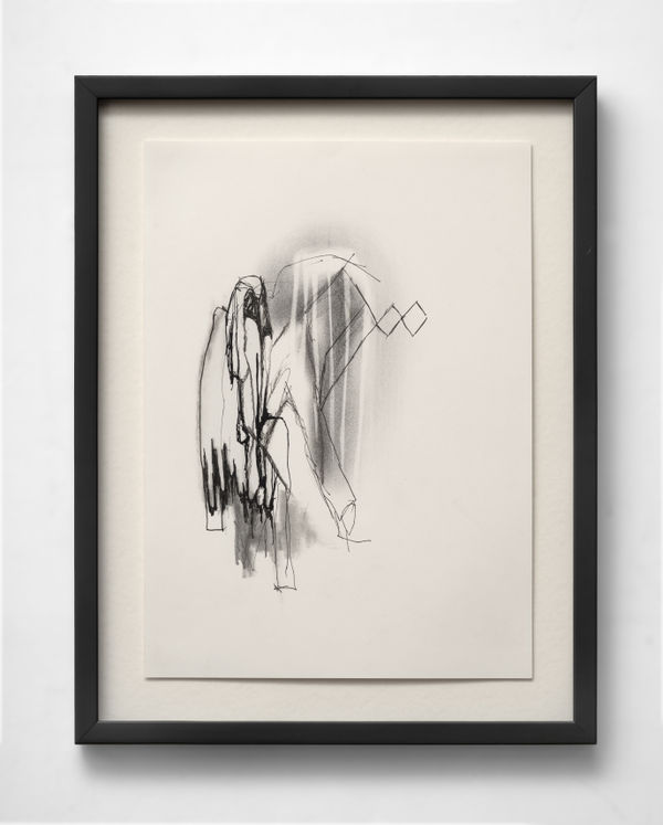 Rochelle Botello, If You Say So, 2025