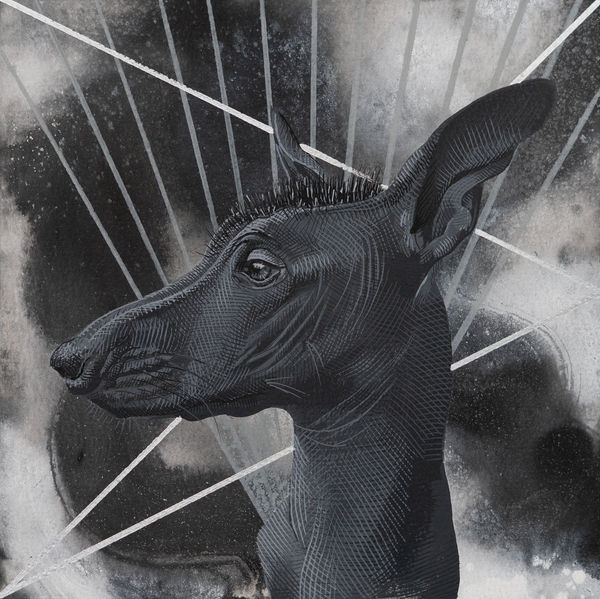 Abel Alejandre, Xolo No.7, 2025