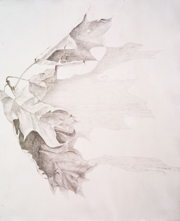 Hiroko Yoshimoto, Autumn Leaves Oak 2, 2022