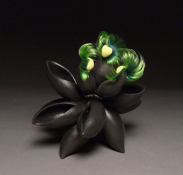 Cj Jilek, Anthocyanin 2, 2022