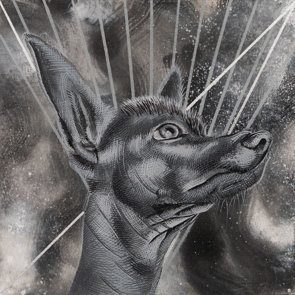 Abel Alejandre, Xolo No.3, 2025