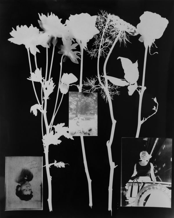 Janna Ireland, Pauline III, 2022