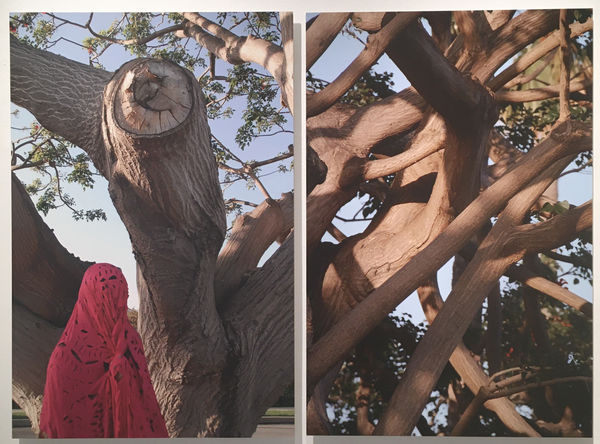 Luigia Gio Martelloni, The Nature of All Beings Within Itself (Skin & Bone) - 2015