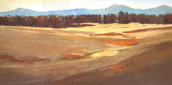 SARAH B HANSEN LAYERED LANDSCAPES