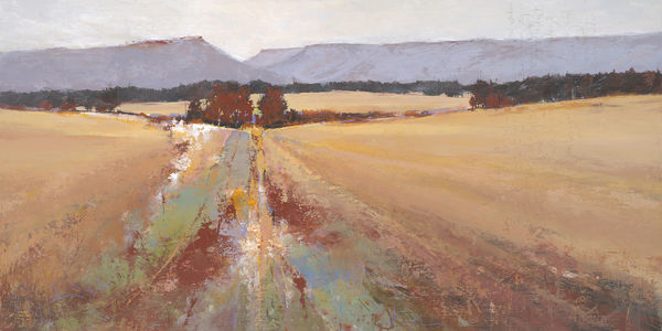 SARAH B HANSEN WILD WALKS: An Artist's Journey Through Sights and Sounds of Pacific Northwest Trails