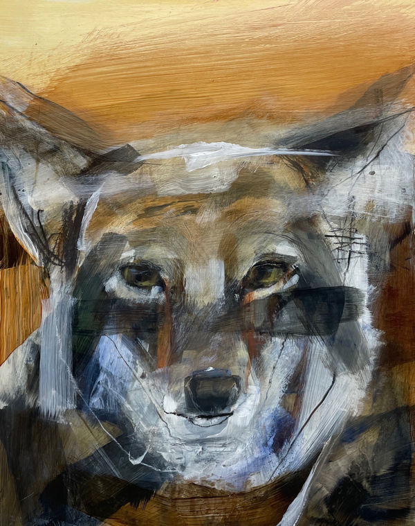 BETHANY ROWLAND LOOKING OUT, LOOKING IN