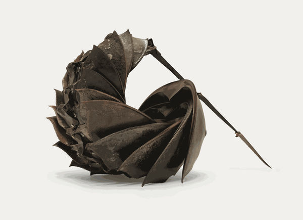 SILAS FINCH CARAPACE