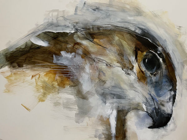 BETHANY ROWLAND WHEN ATTENTION BECOMES DEVOTION