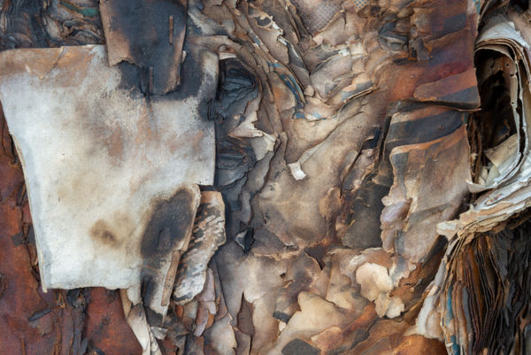 HELÉNA DUPRE THOMPSON UNINTENTIONAL SPECTACLES