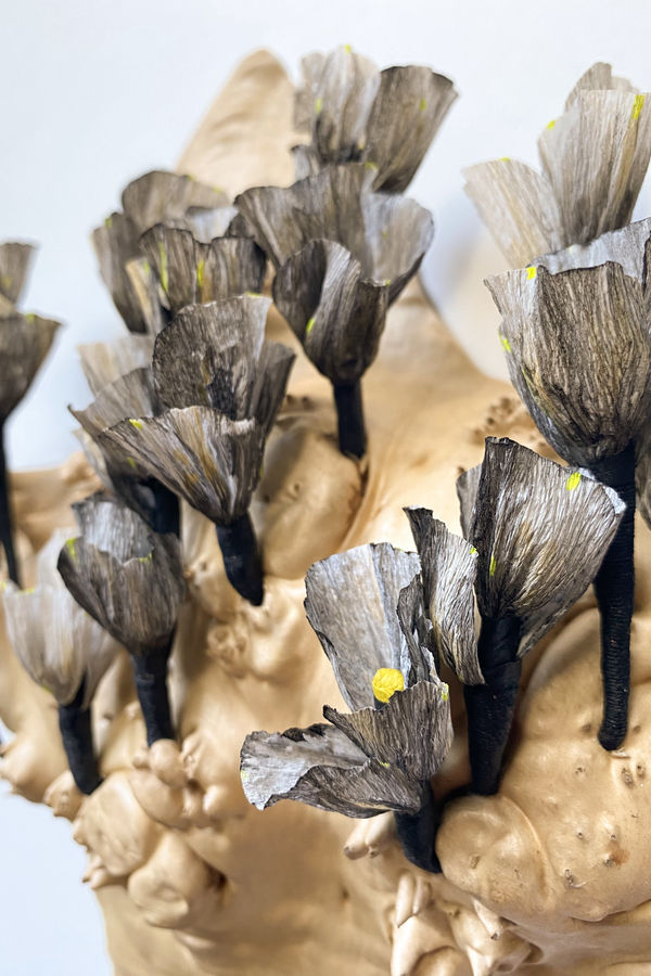 EMILY BIXLER FLOWERS FOR THE CRONE