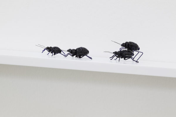 Nadia Kaabi-Linke, Bugs Detail, 2012