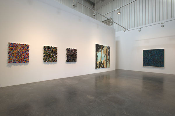 Nabil Nahas, Palms and Stars, Exhibition View