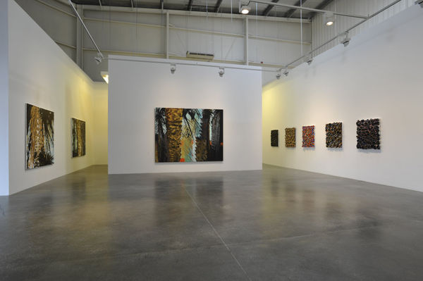 Nabil Nahas, Palms and Stars, Exhibition View