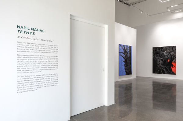 2023 Oct Ls Nabil Nahas Installation 24