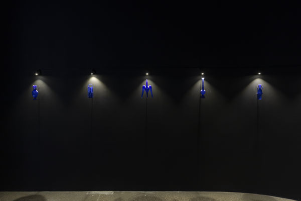 2024 May Inst Ls Dima Srouji Installation 34