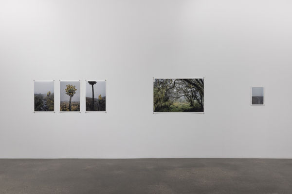 Installation view, Omar Al Gurg - 'Everyman's Mountain', 31 May to 12 September 2025. Photo by Ismail Noor of Seeing Things. Courtesy of the artist and Lawrie Shabibi