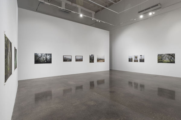 Installation view, Omar Al Gurg - 'Everyman's Mountain', 31 May to 12 September 2025. Photo by Ismail Noor of Seeing Things. Courtesy of the artist and Lawrie Shabibi
