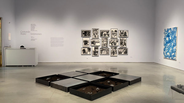 Installation view: Dima Srouji, 'Maternal Exhumations II' , (2023), 'Cantando Bajito: Testimonies', The Ford Foundation Gallery, 2024.