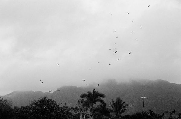 Cuba is Alive, Pinar del Rio, 2005