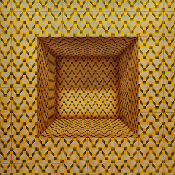 Nicho No 1 2 Amarillo Di Ptico Primario Crop Low Res