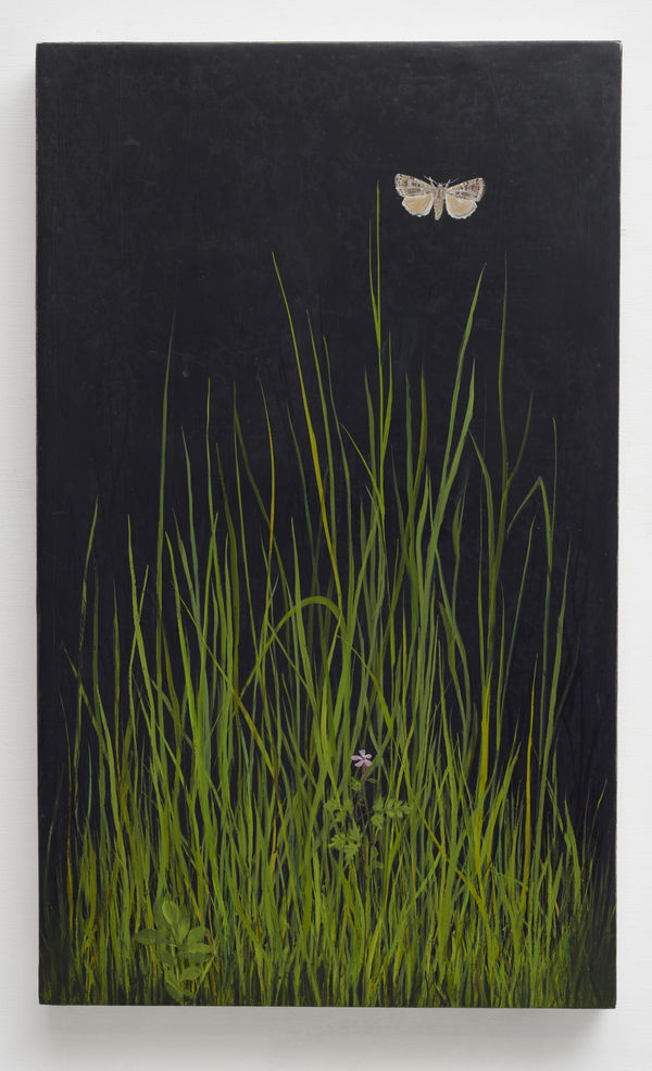 Gothic Meadow, 2020, Oil on Gesso Panel, 50 x 30 cm