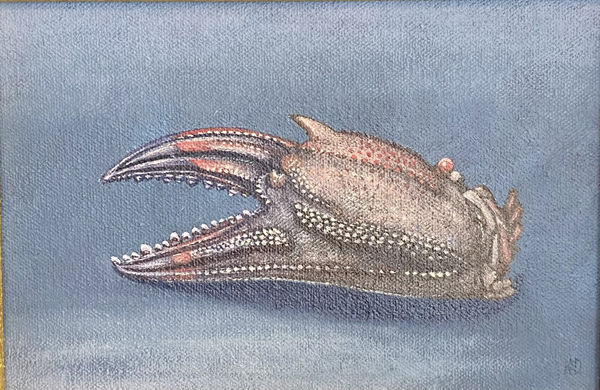 Crab claw paintings