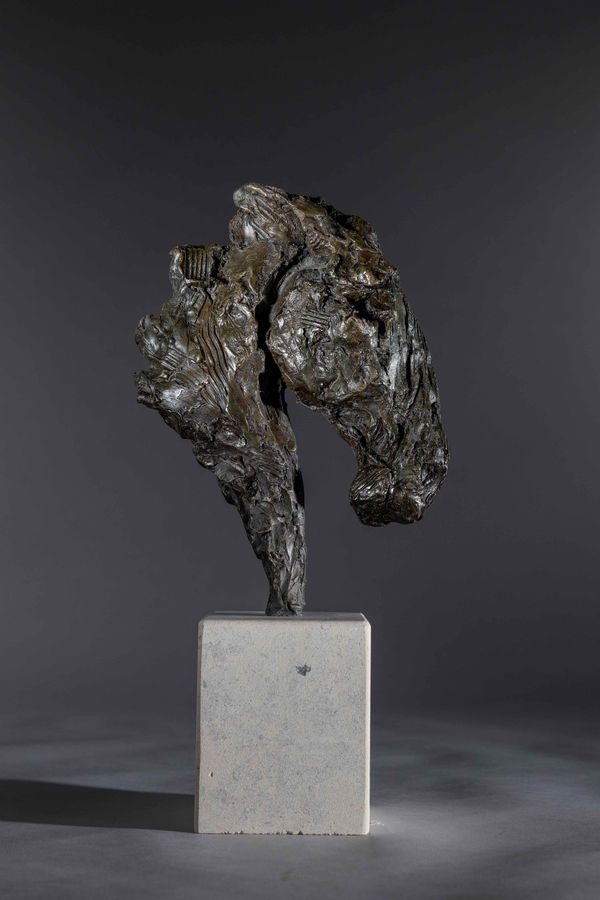 Jane shaw , War horse, 2023