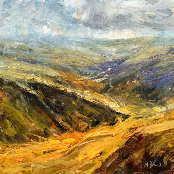 Up in the high high hills