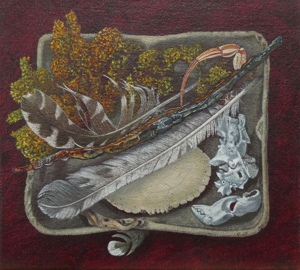 Life from the harbour wall