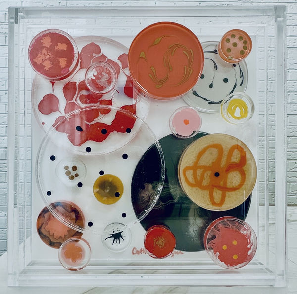 Catherine Rodgers, Orbit Series #5, 2025