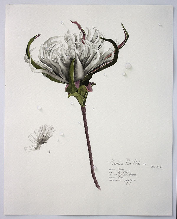 Magdalen Wong, Plasticus Flos Botanica Athens II . 2017 .