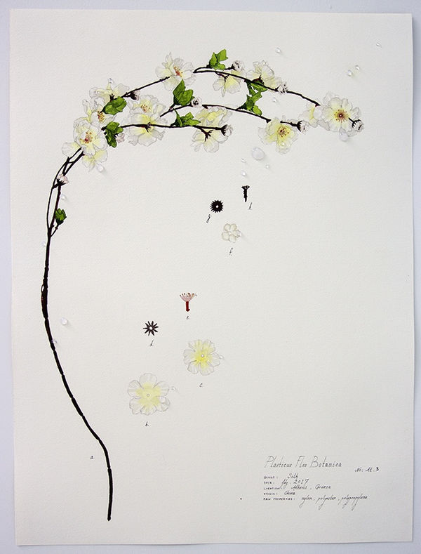 Magdalen Wong, Plasticus Flos Botanica Athens III 2017 .