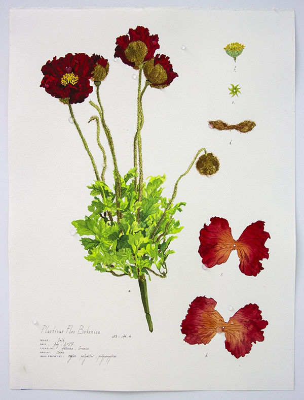 Magdalen Wong, Plasticus Flos Botanica Athens IV 2017 .