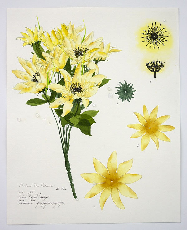 Magdalen Wong, Plasticus Flos Botanica Lisbon II . 2017 .