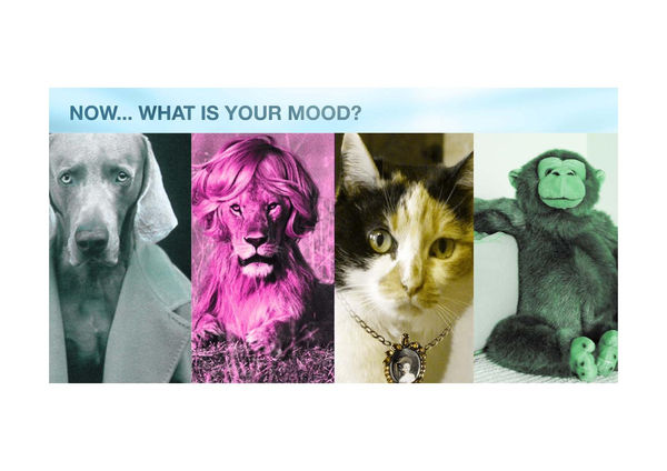 2005 Mood Consumption Page 035