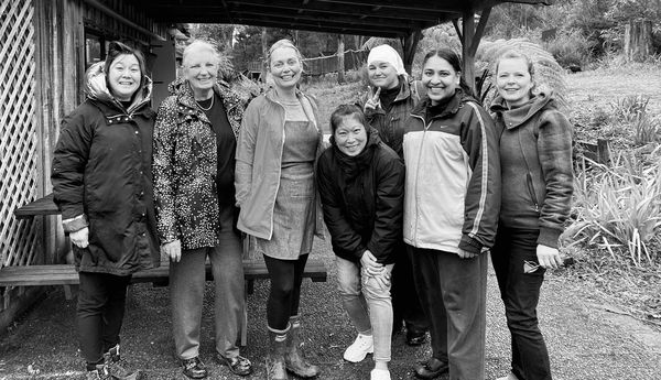 00003Native Nz Floristry Velskov Mamakan