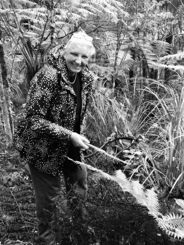 00010Native Nz Floristry Velskov Mamakan