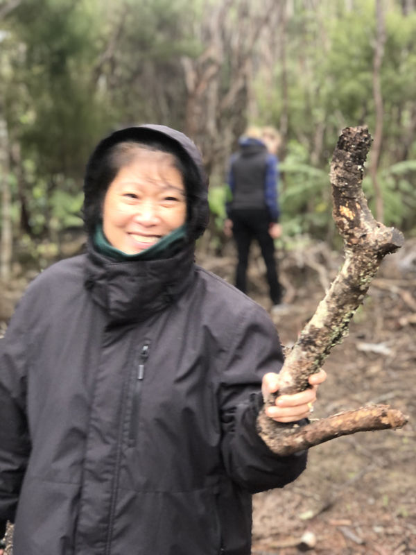 00012Native Nz Floristry Velskov Mamakan
