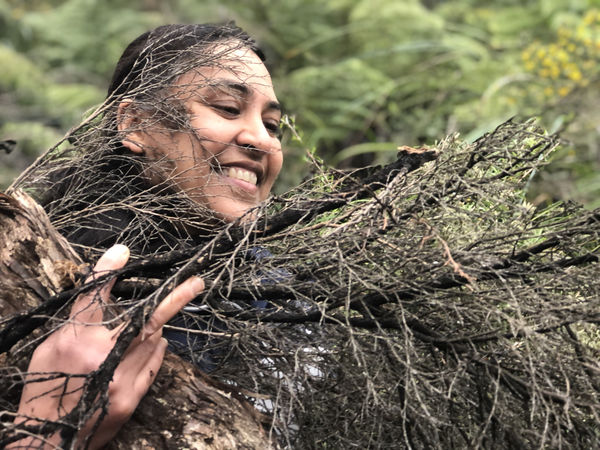 00013Native Nz Floristry Velskov Mamakan