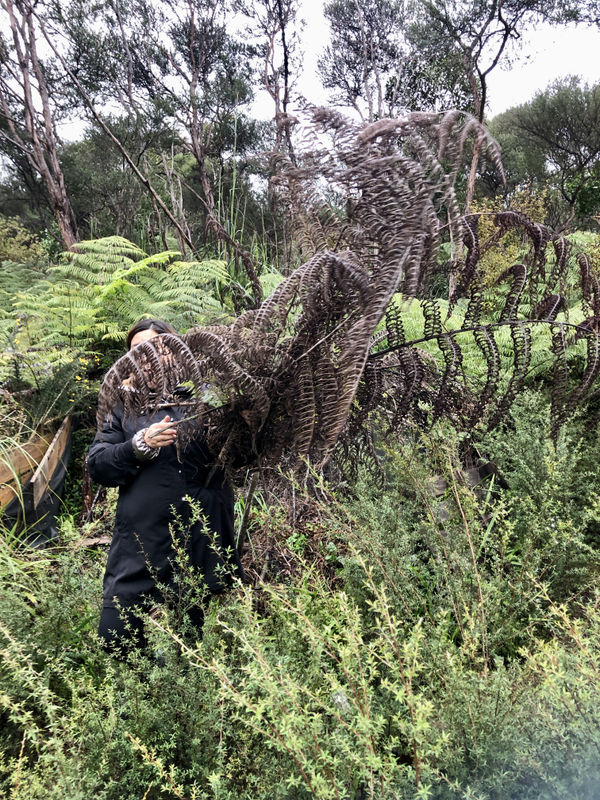 00014Native Nz Floristry Velskov Mamakan