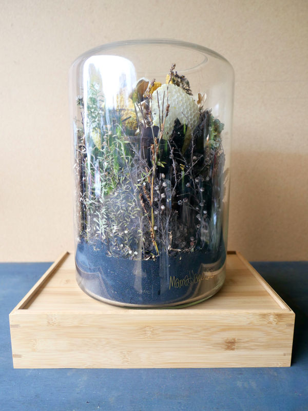 Phantasy Forestscape 2022 39