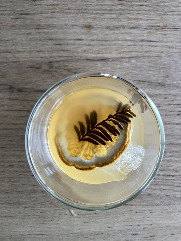 Velskov | Friday in the Forest