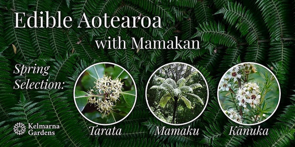 EDIBLE AOTEAROA, with MAMAKAN