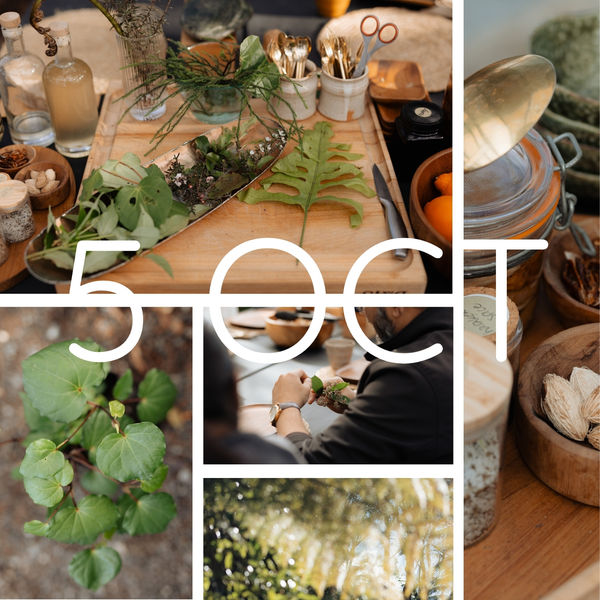 Art of Foraging Workshop 1 | Foundations