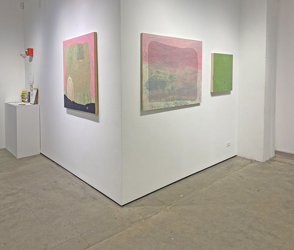 Installation shot of three paintings by Maeve D'Arcy