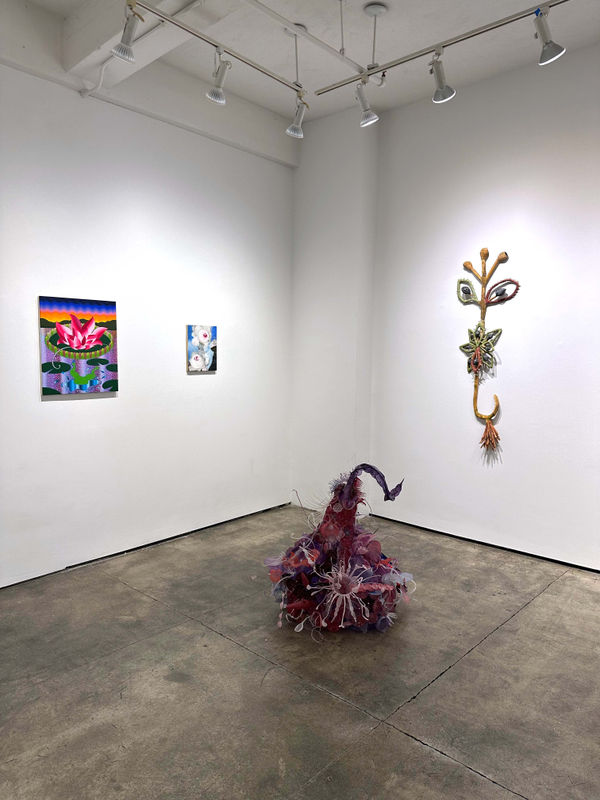 Installation views of an exhibition